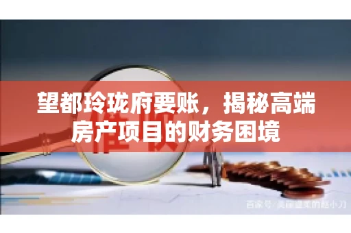 望都玲珑府要账，揭秘高端房产项目的财务困境