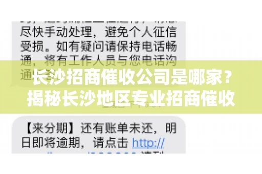 长沙招商催收公司是哪家？揭秘长沙地区专业招商催收机构