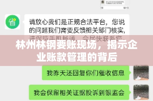 林州林钢要账现场，揭示企业账款管理的背后
