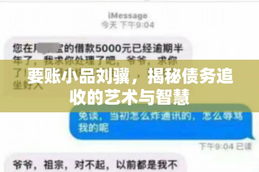 要账小品刘骥,揭秘债务追收的艺术与智慧 要账小品刘骥,揭秘债务追收的艺术与智慧