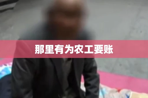那里有为农工要账