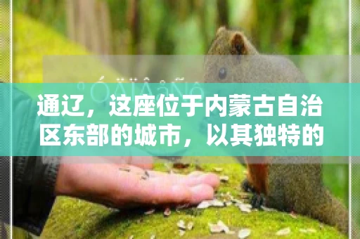 通辽，这座位于内蒙古自治区东部的城市，以其独特的地理位置和丰富的自然资源而闻名。然而，对于许多企业来说，通辽的另一个重要角色可能是其作为要账公司的聚集地。那么，通辽究竟有几家要账公司呢？今天，我们就来聊聊这个话题。