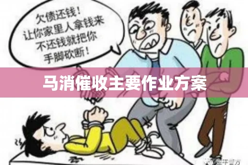 马消催收主要作业方案