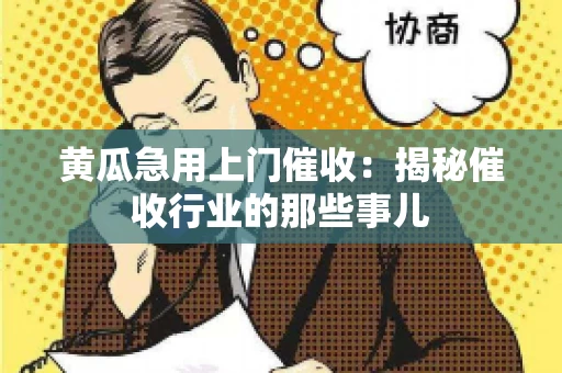 黄瓜急用上门催收：揭秘催收行业的那些事儿